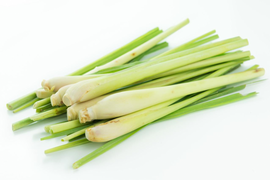 VIETNAM Frozen Lemongrass Whole Vietnam