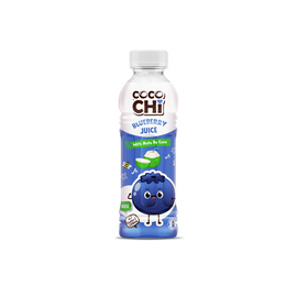 VN Cocochi mėlynių sultys Nata de Coco 450ml