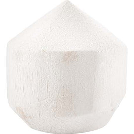 Coconut Young White 9 PCS WABU Origin:TH