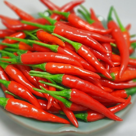Frozen Chilli Superb Spicy/ Whole
