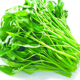 [Užsakyti] Kangkung (Rau Muống) 500 gr