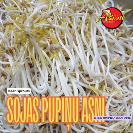 [Fresh] Mung Bean Sprout (Giá) 250 Gr