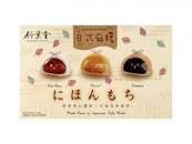 BH Mišrus japoniško stiliaus Mochi 450g TW