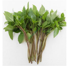 Sweet basil 100g