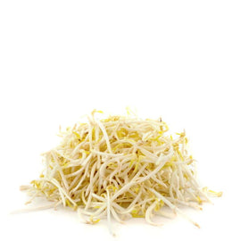 [Užsakyti] Mung pupelių daigai (Giá) 2kg