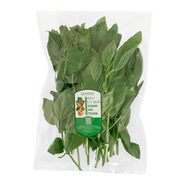 Sweet basil Brazilla 100g