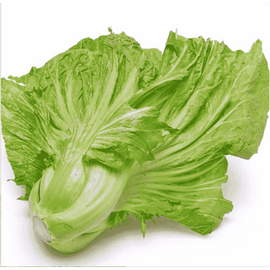KAI CHOI (CAI DUA) 500g