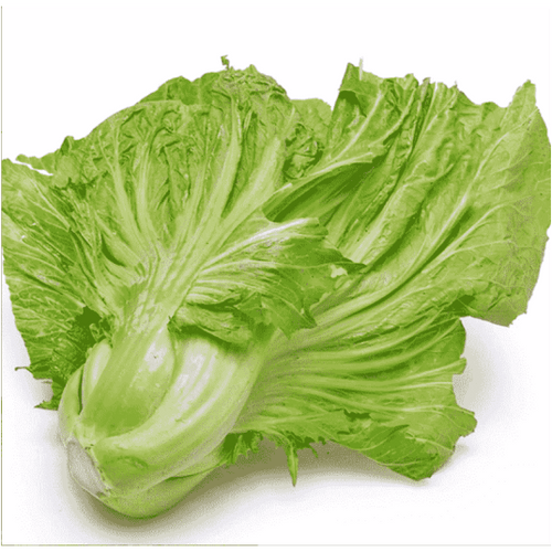 KAI CHOI (CAI DUA) 500g