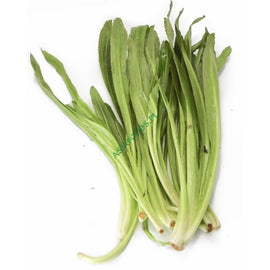 Parsley 100g
