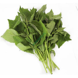 Cockscomb Mint 100g