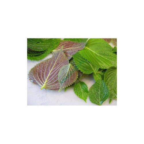 Perilla 100g