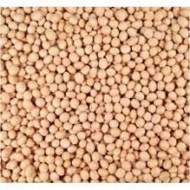SOYA GRAIN CZECH - 25KG /BAG